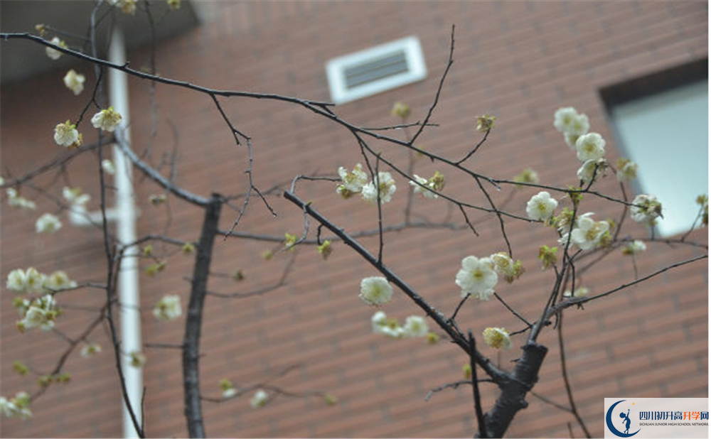 成都市華陽中學是私立還是公立學校？