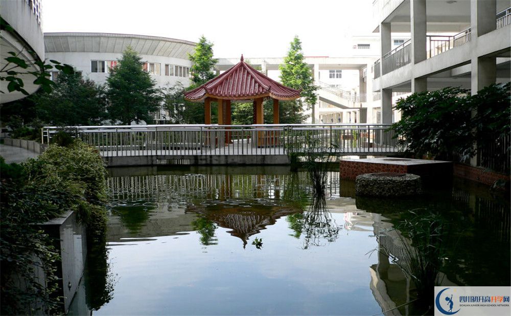 2020成都市龍泉中學高考重點大學升學率是多少？