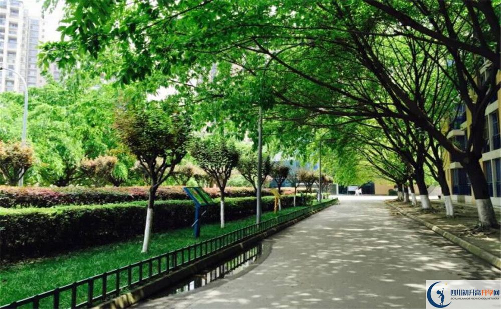 2020成都七中實驗學(xué)校高考重點大學(xué)升學(xué)率高嗎？