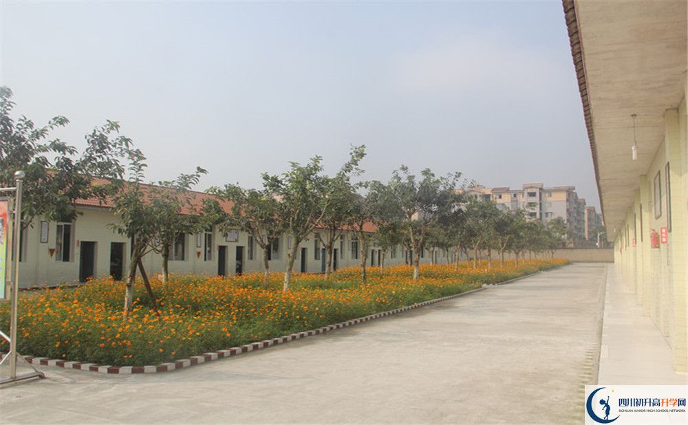 強項實驗中學(xué)在全國高中排名多少？