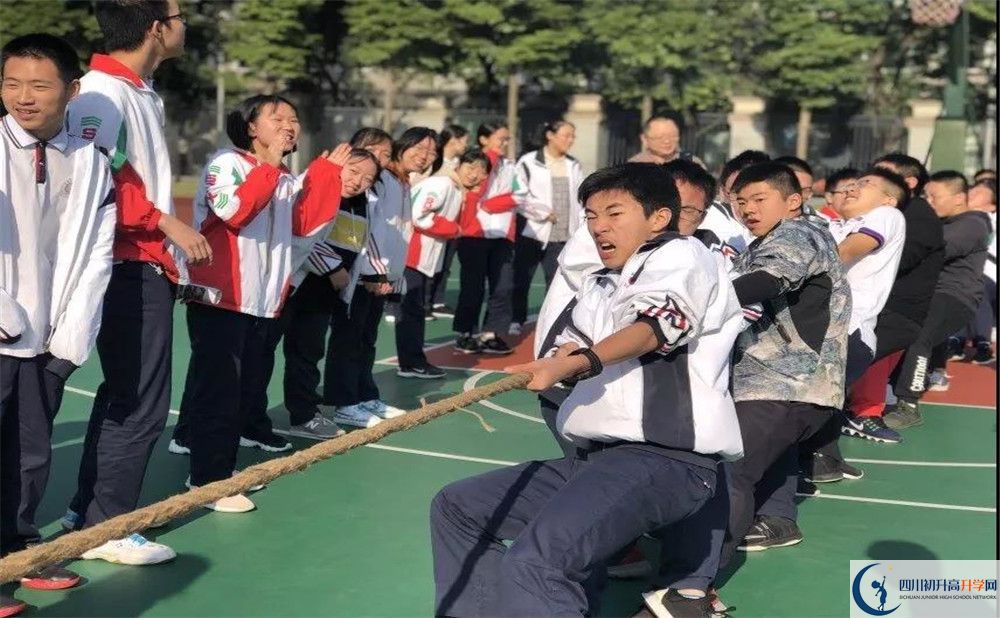 成都樹德中學面向全國招生嗎？