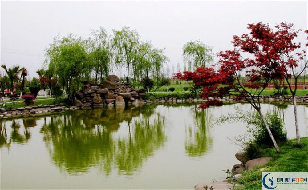 成都七中實(shí)驗(yàn)學(xué)校面向全國(guó)招生嗎？
