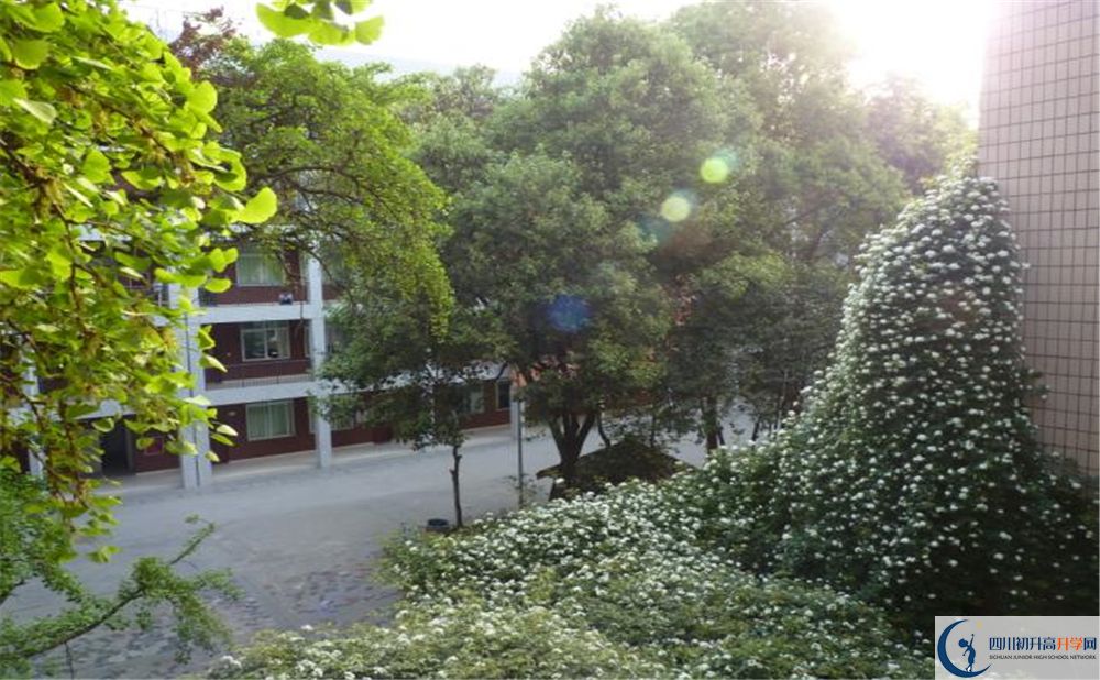 成都市石室聯(lián)中蜀華分校2020屆高三數(shù)學(xué)測試題在哪看?