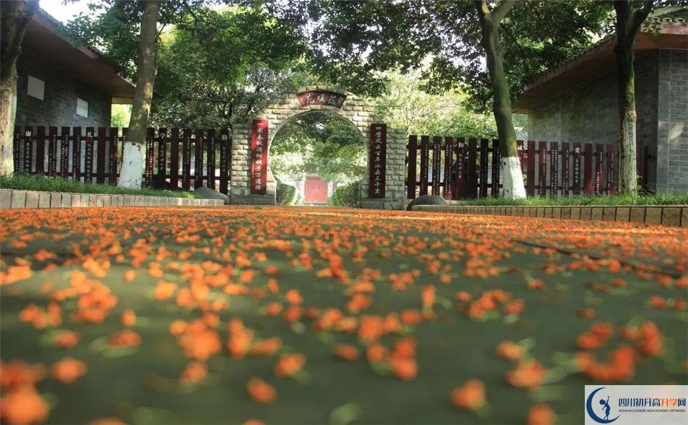 成都七中高新校區(qū)平行班中考重點(diǎn)率是多少？