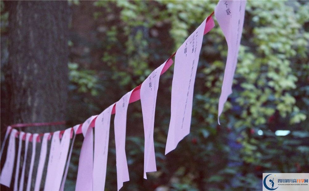 成都實(shí)驗(yàn)外國語學(xué)校（西區(qū)）平行班中考重點(diǎn)率是多少？
