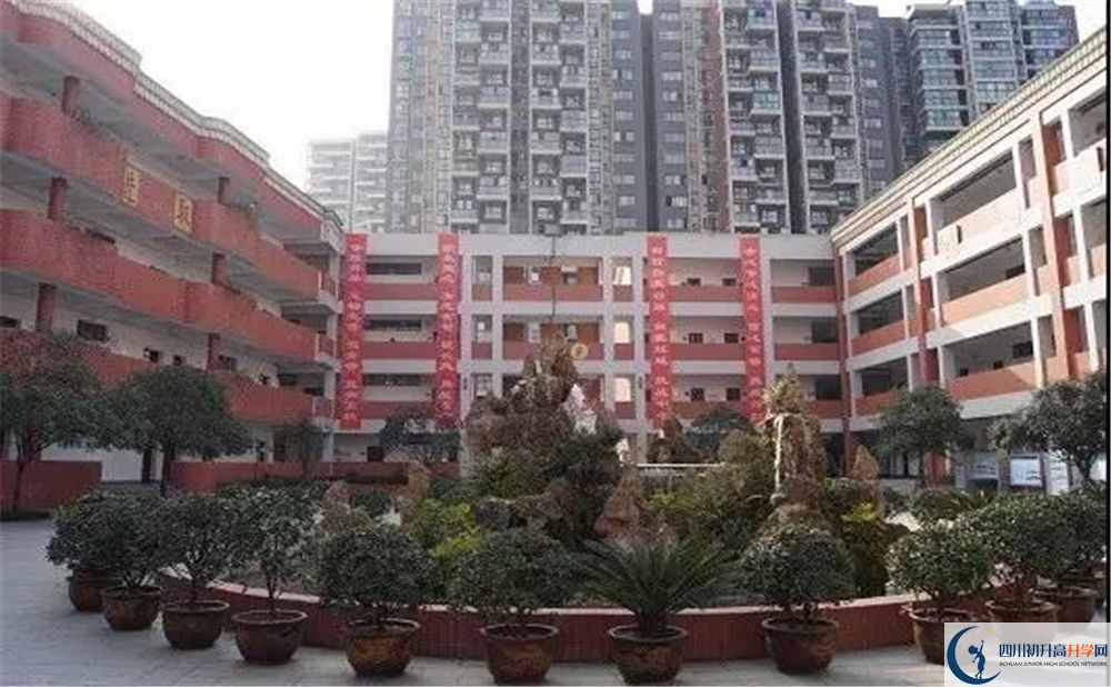 成都三十七中2020年高考人數是多少？