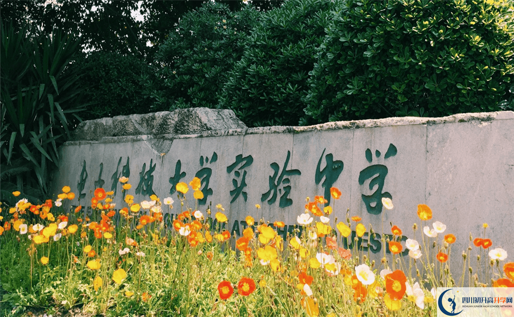 電子科技大學(xué)實驗中學(xué)補(bǔ)課多少錢？