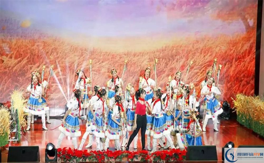 成都樹德中學光華校區(qū)2019年中考錄取分數(shù)線