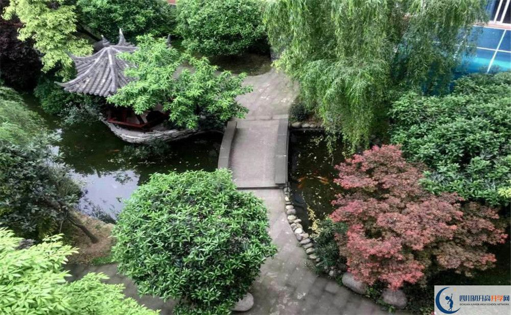 成都八中今年的錄取條件是否有變化？