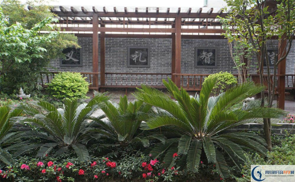 成都八中高三診斷考試時(shí)間怎么安排？