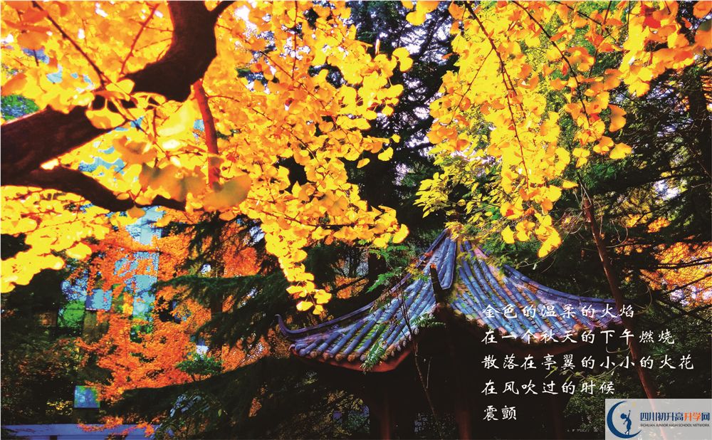 成都七中2020暑假放假時(shí)間安排？