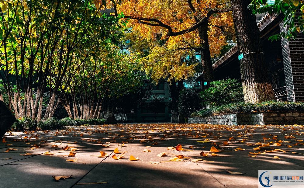 北京師范大學成都實驗中學初升高招生政策是什么？