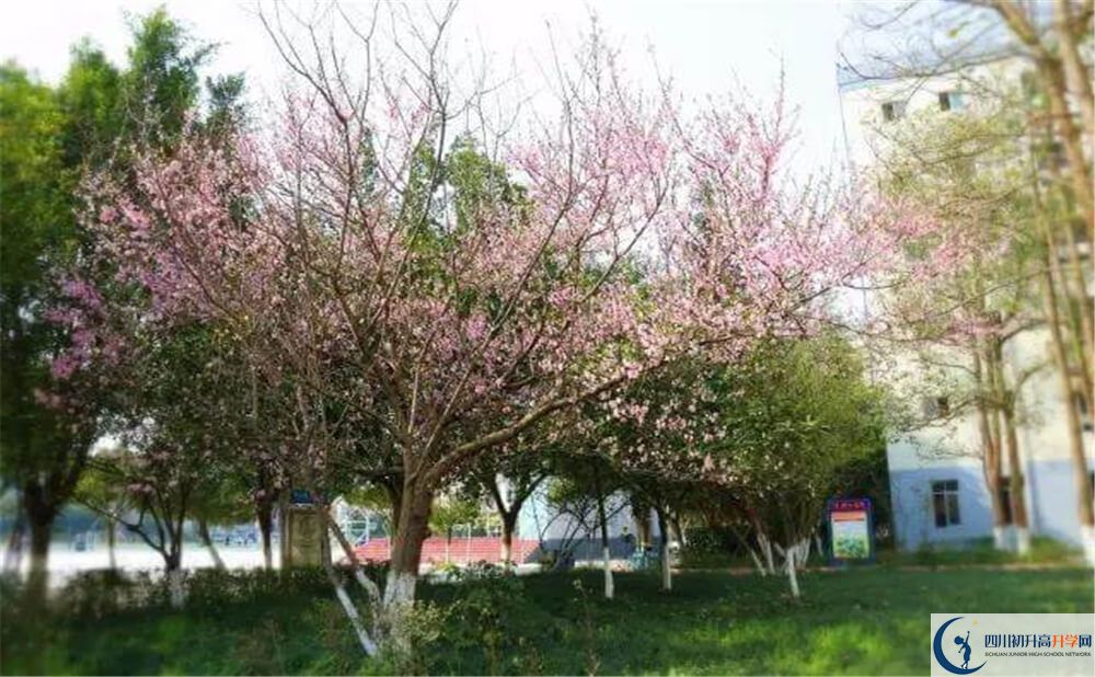 遂寧中學(xué)外國(guó)語(yǔ)實(shí)驗(yàn)學(xué)校今年的錄取條件是否有變化？