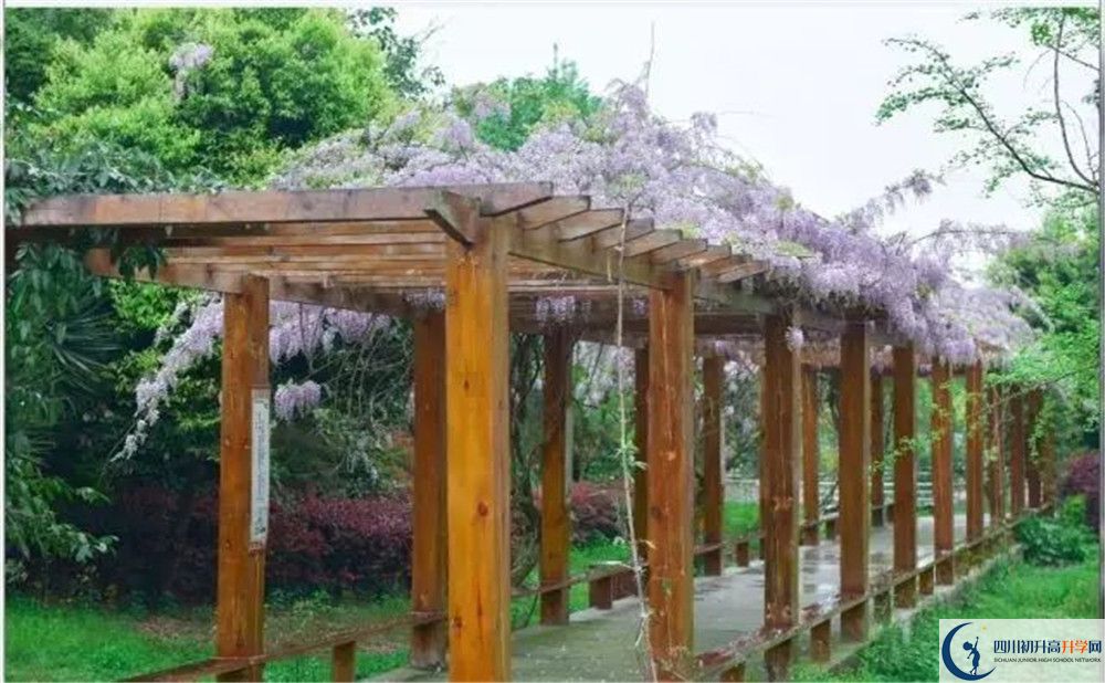 廣安花橋中學(xué)高三診斷考試時(shí)間怎么安排？