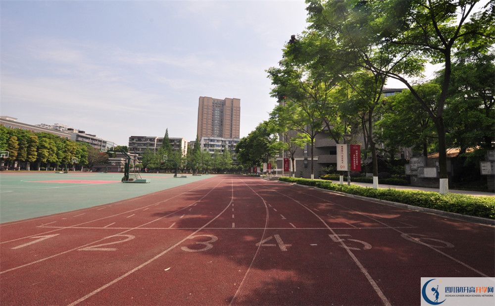 樹德中學(xué)本部在哪里？