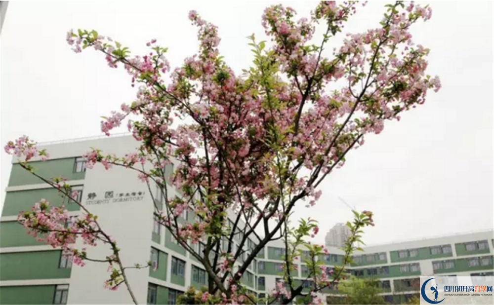 2020年四川省瀘州市實(shí)驗(yàn)中學(xué)初三畢業(yè)時(shí)間如何變化？