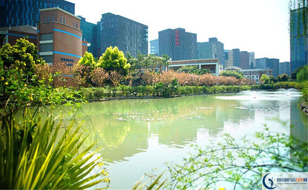 成都美視國際2020年怎么報名？