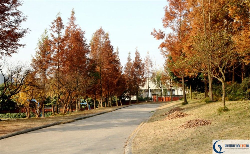 2020年成都實(shí)驗(yàn)外國(guó)語(yǔ)學(xué)校西區(qū)住宿條件怎么樣？