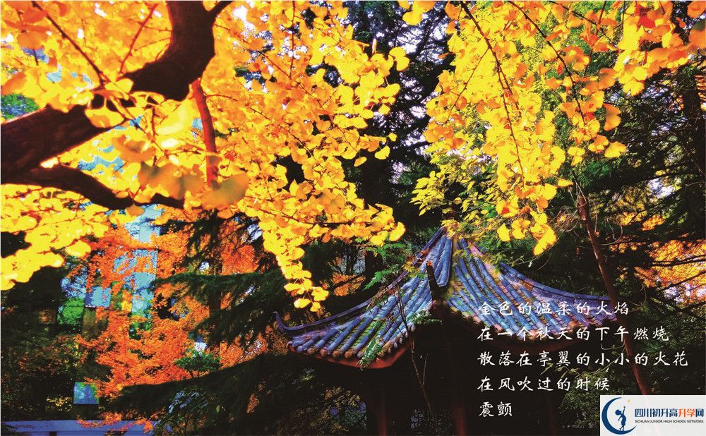 七中高新校區(qū)招生電話是多少？