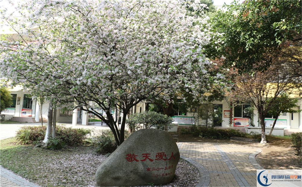 成都南開為明學校2020年好不好？
