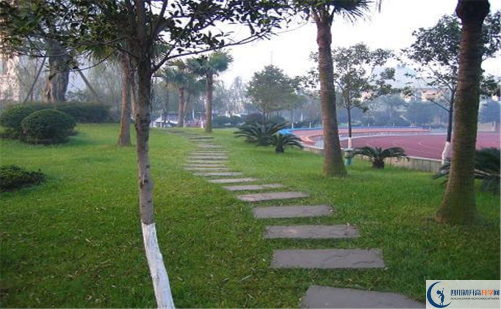 成都石室佳興外國(guó)語(yǔ)學(xué)校2020年收分線是多少？