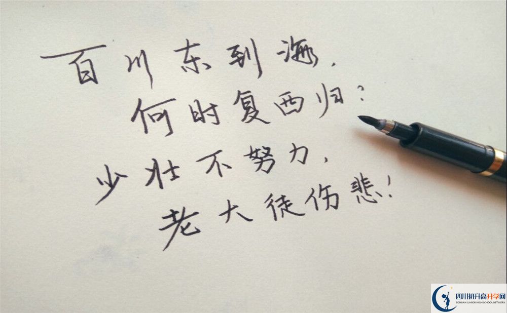 2020年成都籍田中學(xué)收分是多少？