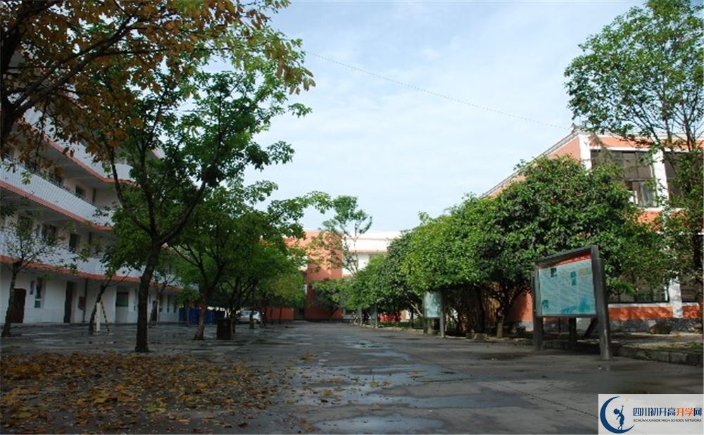 大邑中學(xué)2020年是國(guó)重嗎？