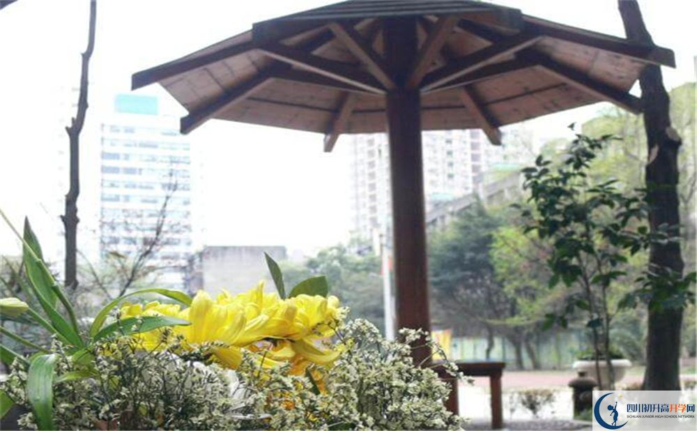 成都石室聯(lián)中蜀華分校2020年升學(xué)率高不高？