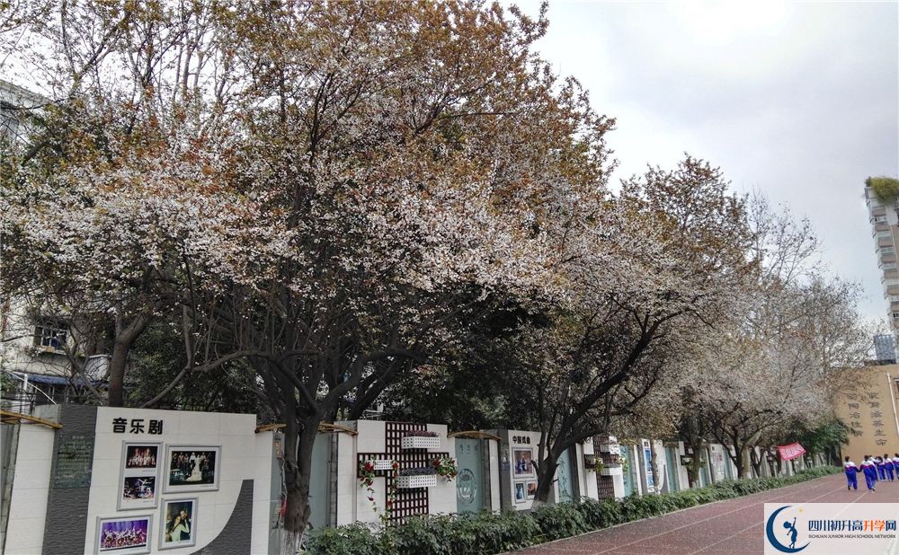 成都大學(xué)附屬中學(xué)2020年高考成績(jī)好不好？